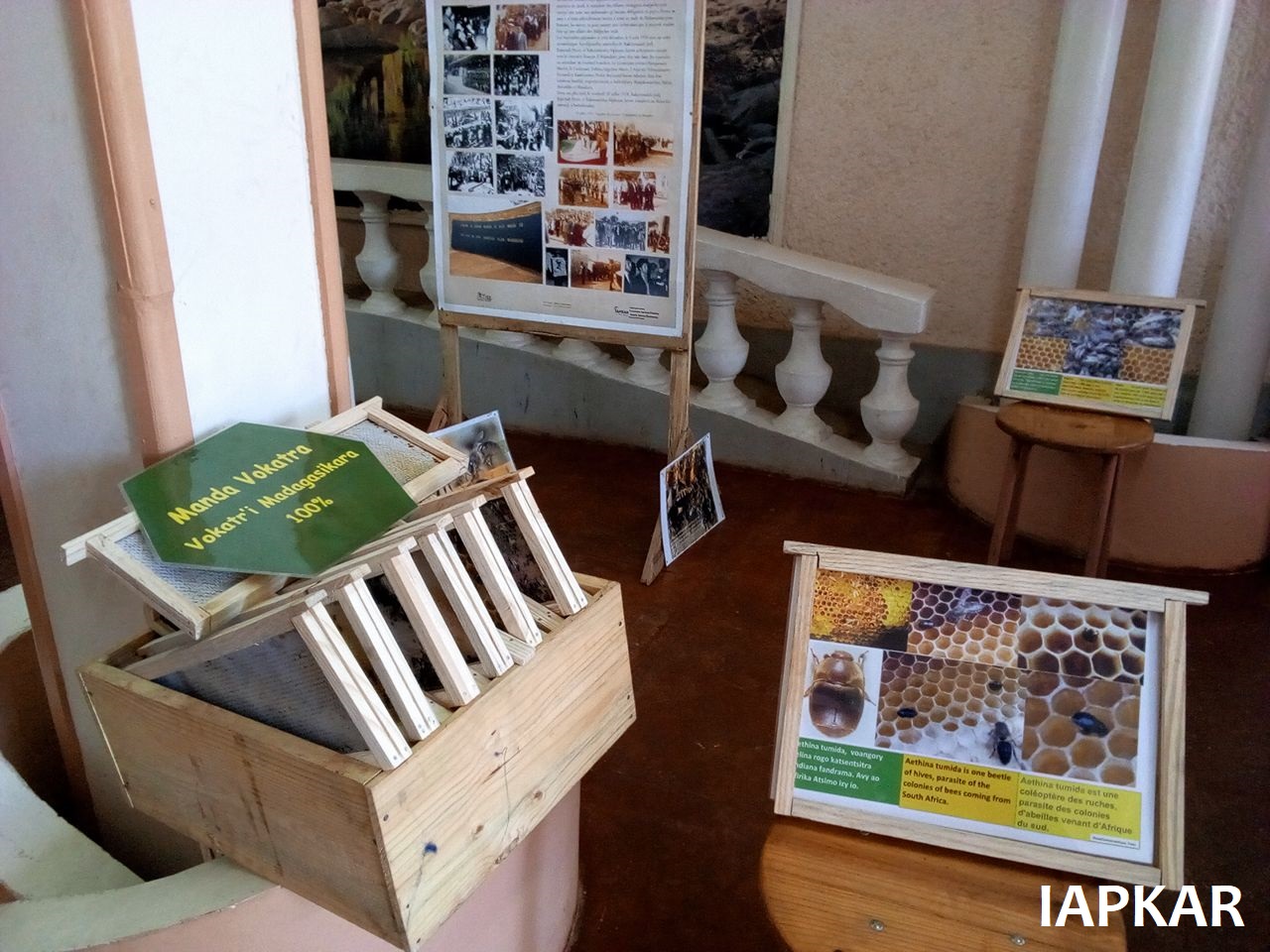 2018-10 IAPKAR Exposition Manda Vokatra