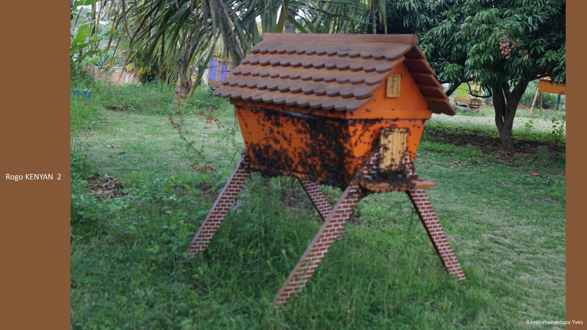 Lres ruches de Manda Vokatra 